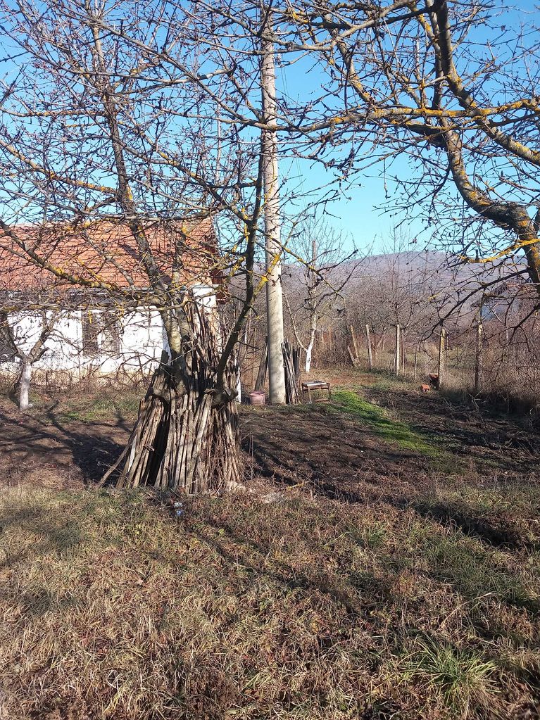 Продава се Парцел в с. Шишковци, Област Кюстендил - 1650 кв.м за 37 €/кв.м - Снимка #4