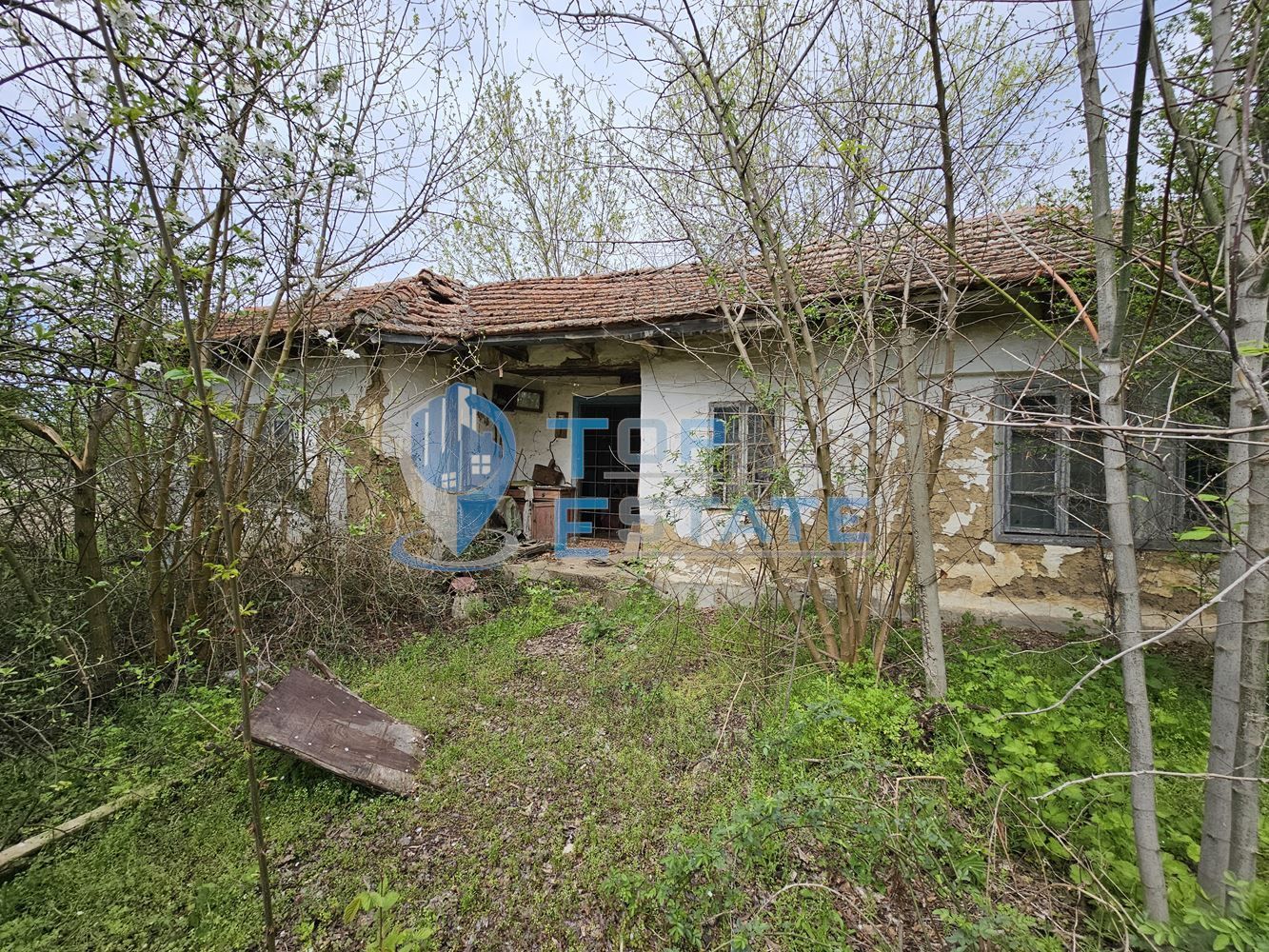 Голям парцел със стара къща в с. Драгомирово