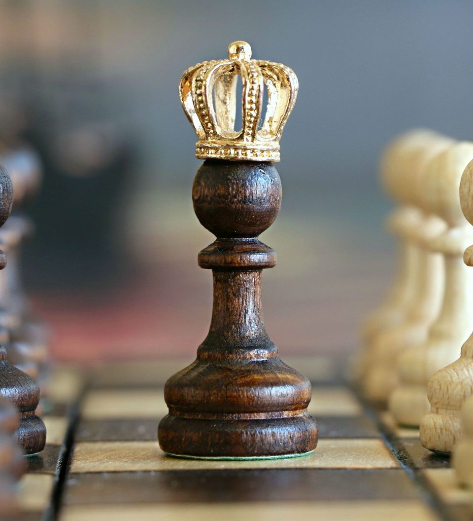 Индивидуальные занятие по шахматам