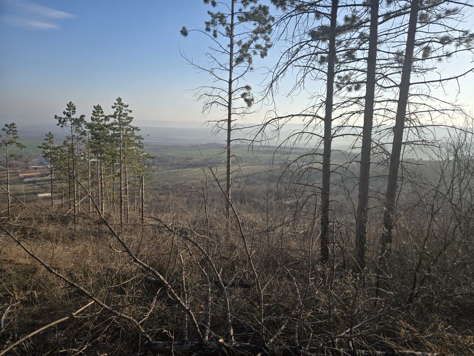 Парцел кв. Дивдядово