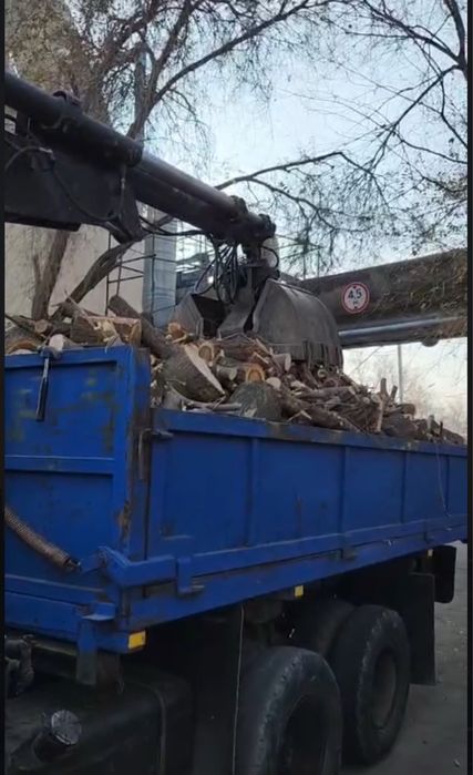 Дрова карагача. С доставкой