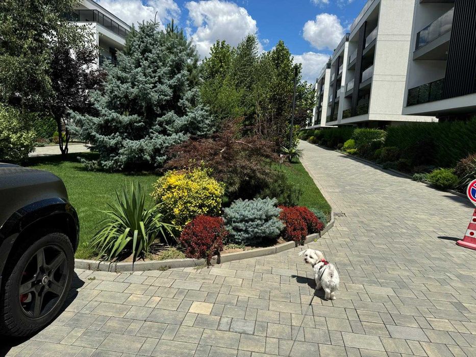 Producător Brazi Normandieni – Garanția Calității