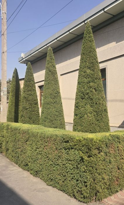 Садовник услуги Богбон