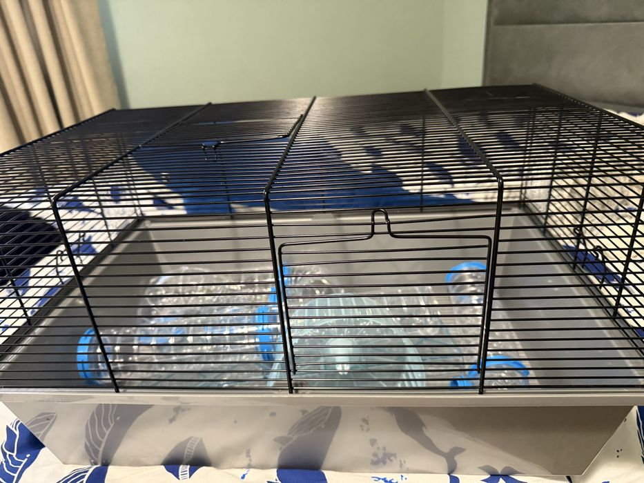 Cusca hamsteri pitici