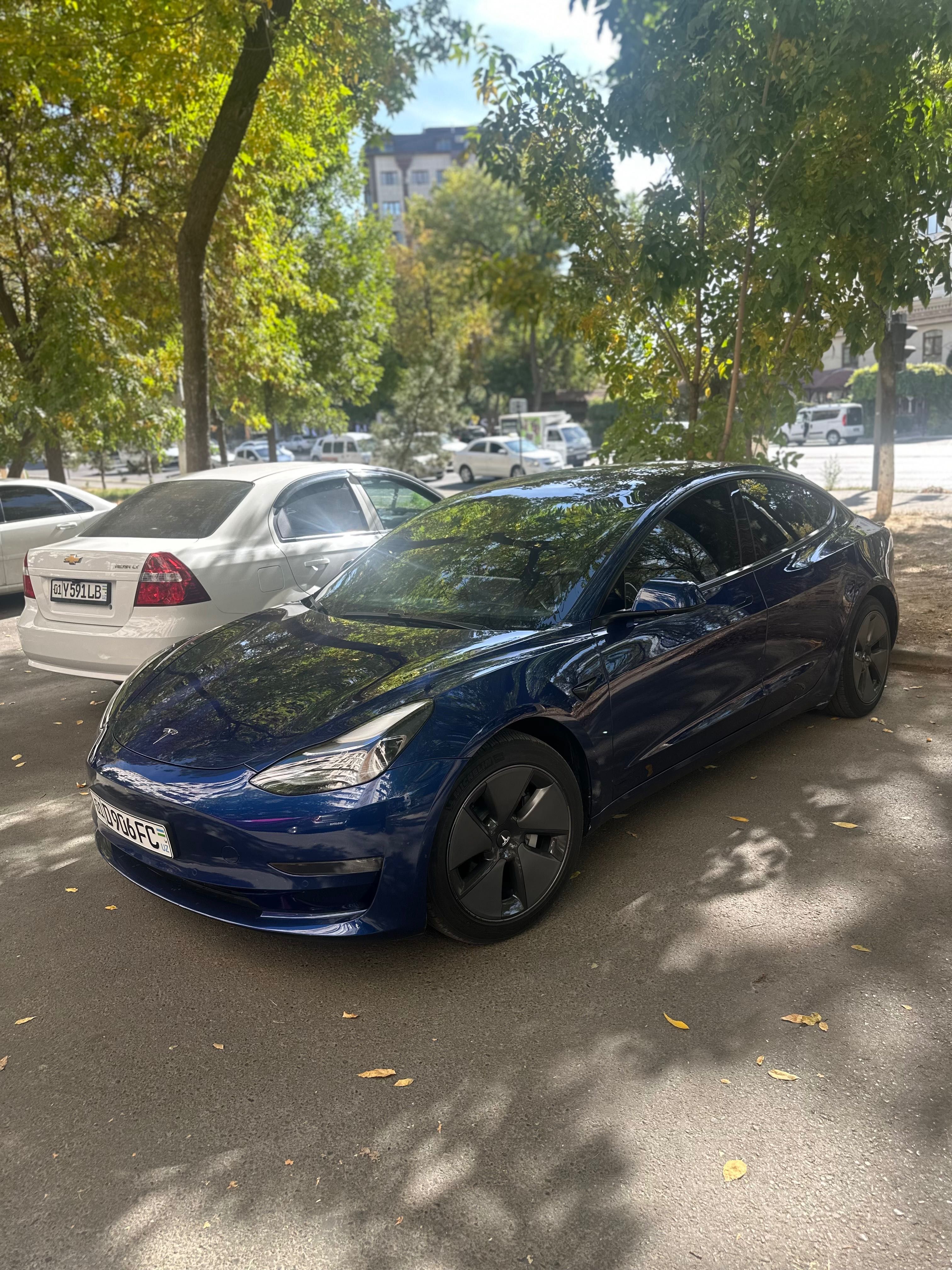 Tesla model 3 standard American