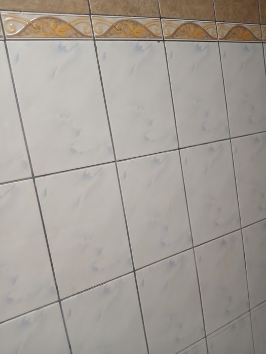 Zugravi cu experienta