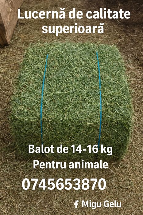 Baloti lucerna coasa2si3