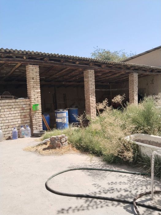 Халкабад 7 соток