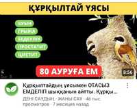 Куркултай уясы 80 түрлі ауруға ем