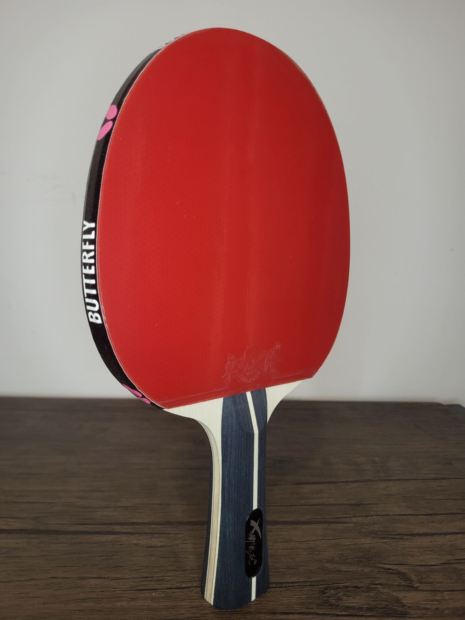 Paleta tenis de masa XVT, Ofensiva, Efect 10/10, Ping Pong