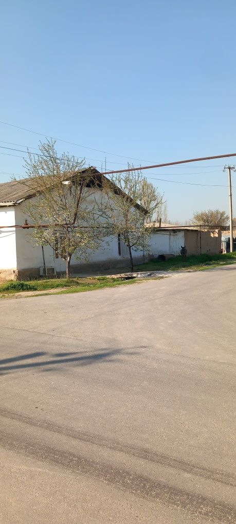 Srochno sotiladi tez chinoz tumani istiqlol MFY navbahor kochasi 28-uy