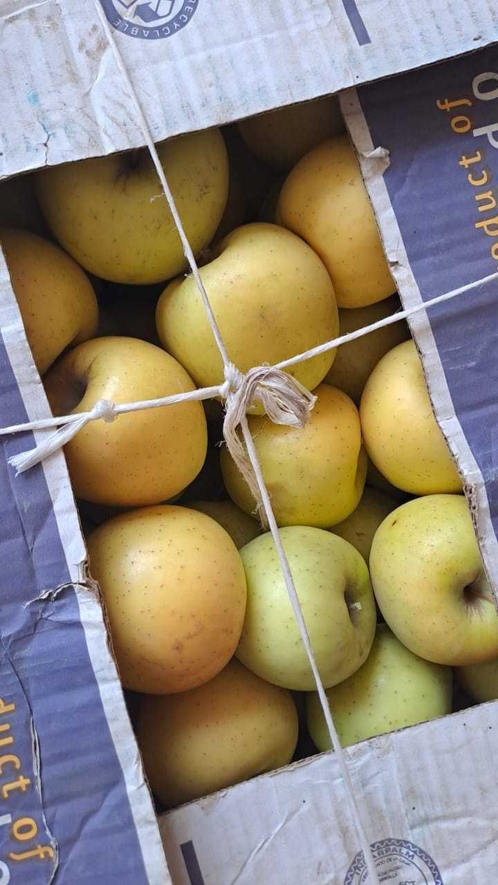 Продам отличные, домашние яблоки с собственного сада!