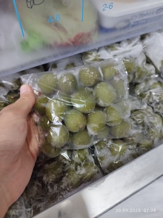 Dovuchcha arzon narxda