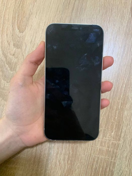 Iphone 12 pro silver