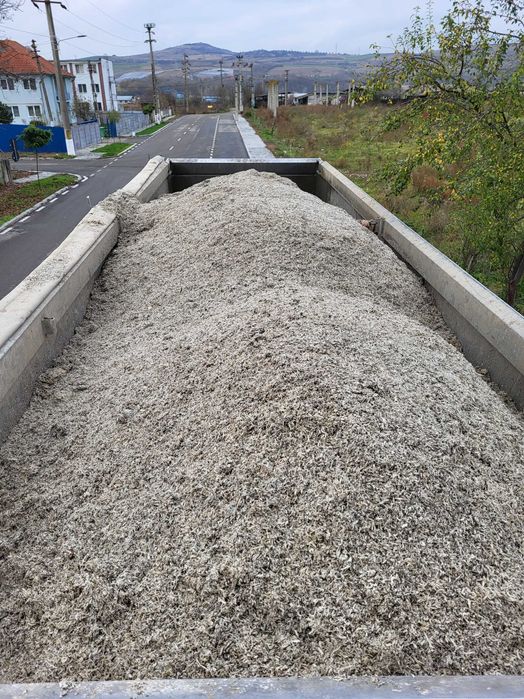 Vand borhot din sfecla de zahar Ludus