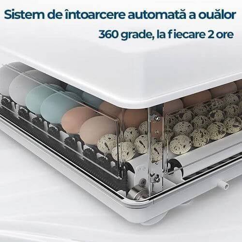 Vand  incubator MS-130 complet automat, 130pui gaina