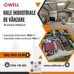 Hale industriale de vânzare în Valea Crișului!
