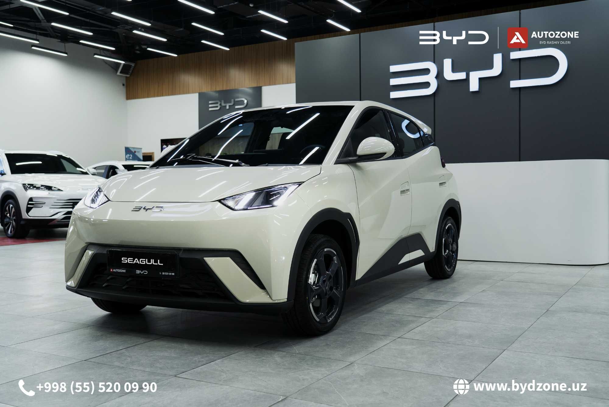 BYD Seagull 405km Flying - Официальный дилер Луначарский