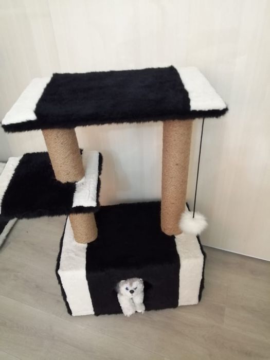 Продаю домики для кошек