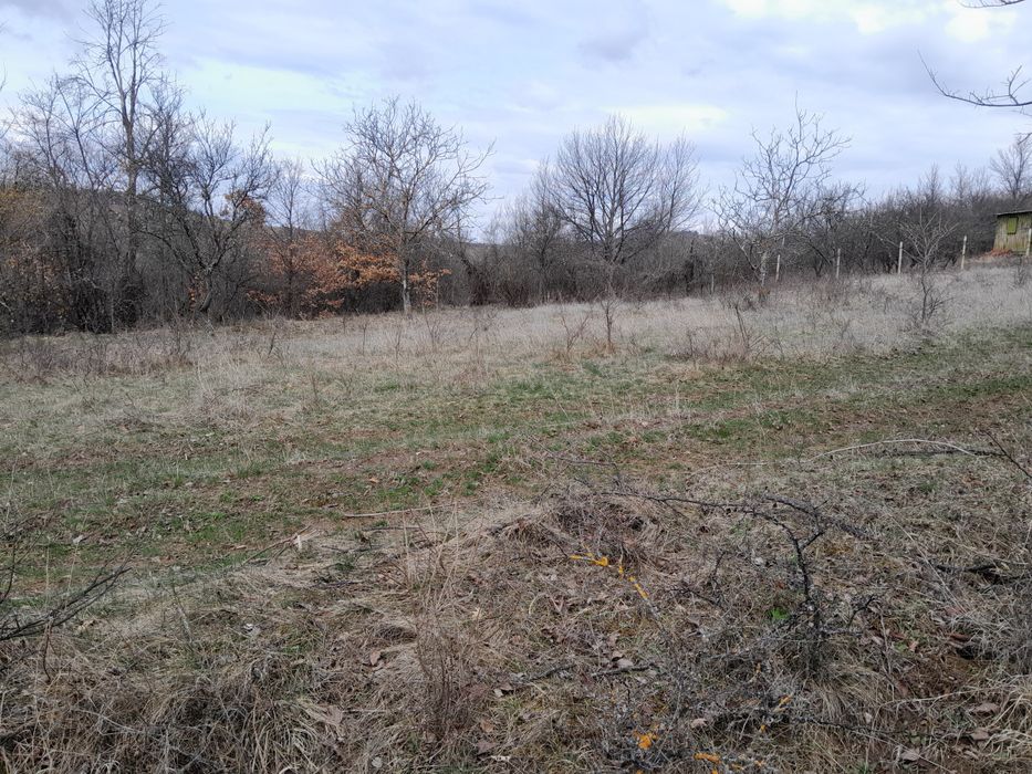 ПИ - 1200 м2 в с. Косача