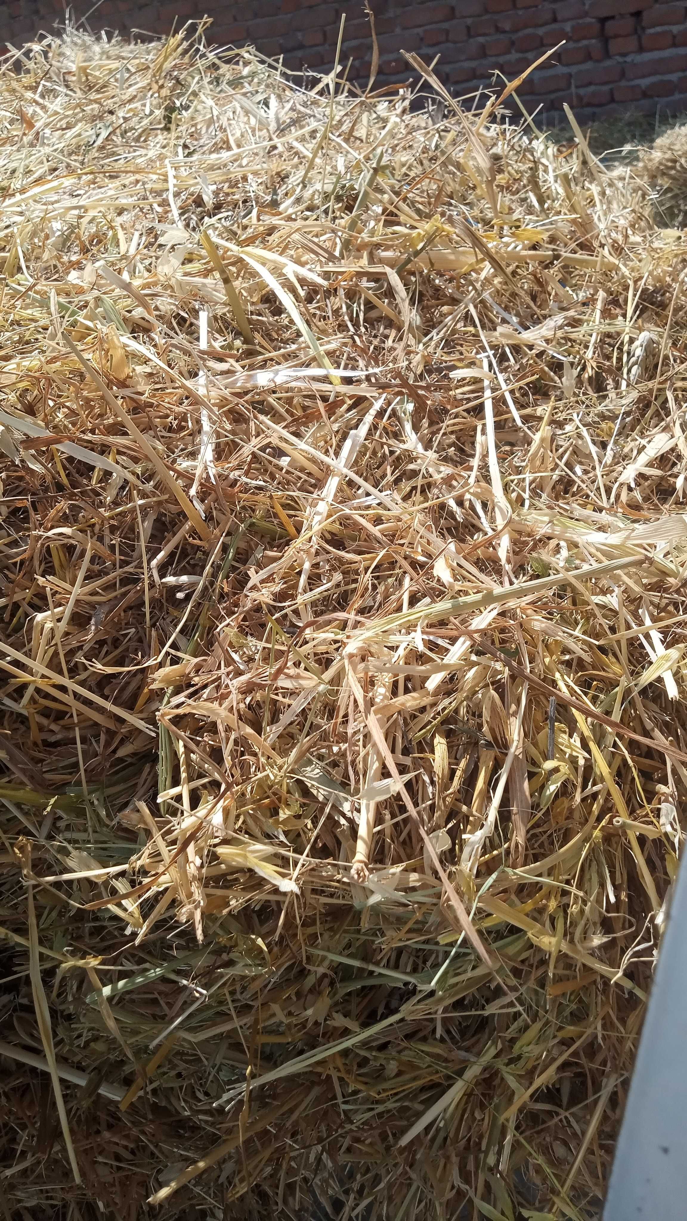Продавам сено бали