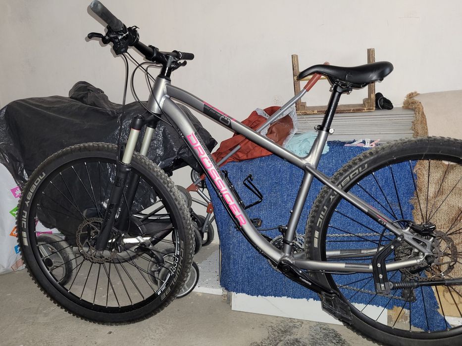 Bicicleta drossiger roti 29