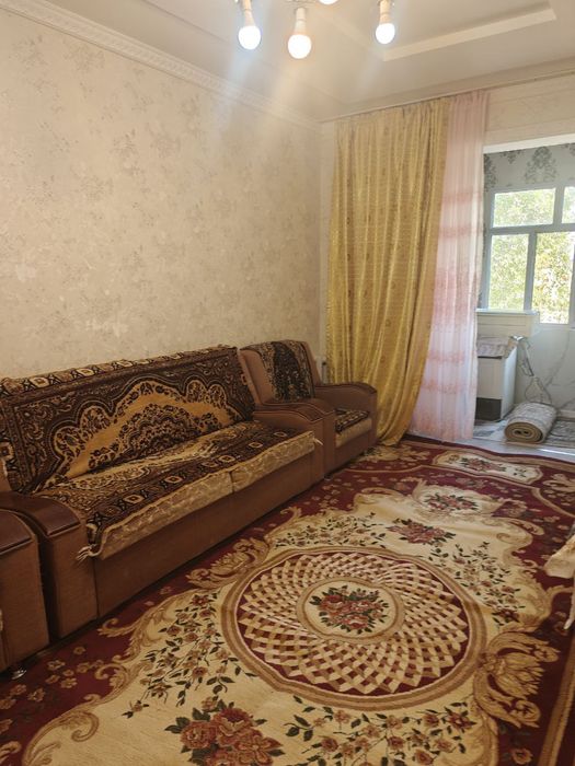 Семя,Парни,Студенты,Девушки,Семя и Гражданский брак