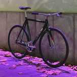 Cinelli MASH Histogram single speed / fixed gear