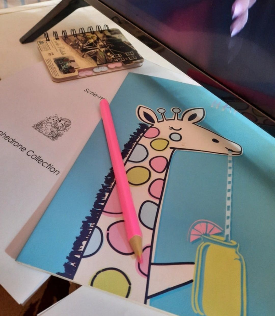 Mini agenda, caiet si notepad