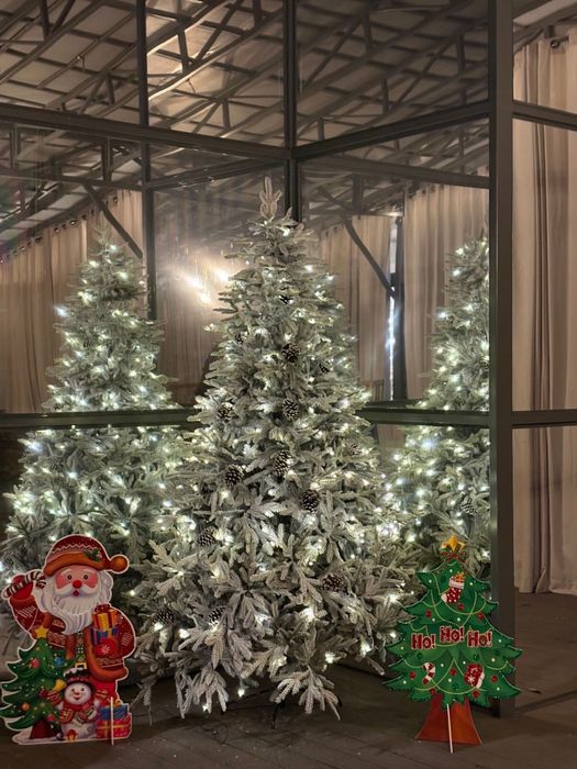 Елки новогодние с бесплтаной доставкой по Астане!