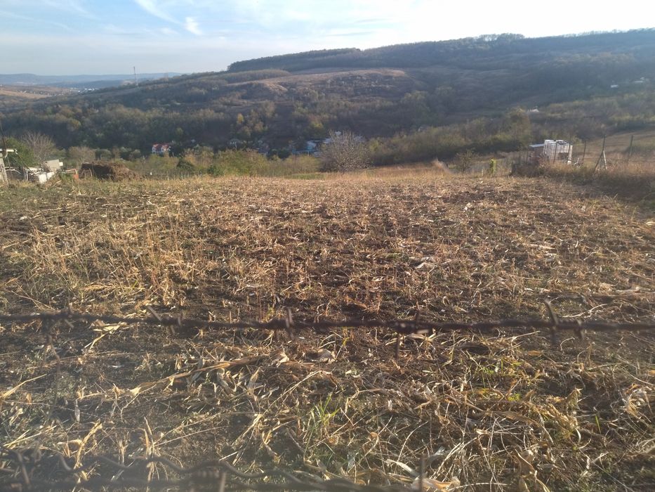 Ocazie!Teren jud.Iași,Com.Rediu