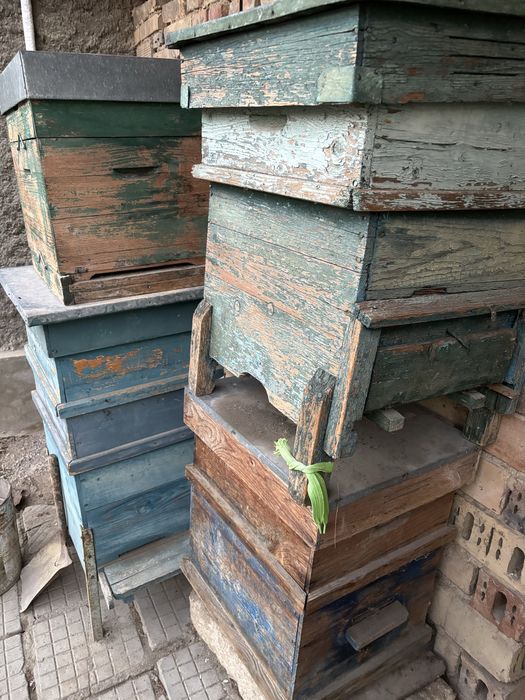 Пчелни кошери без пчели