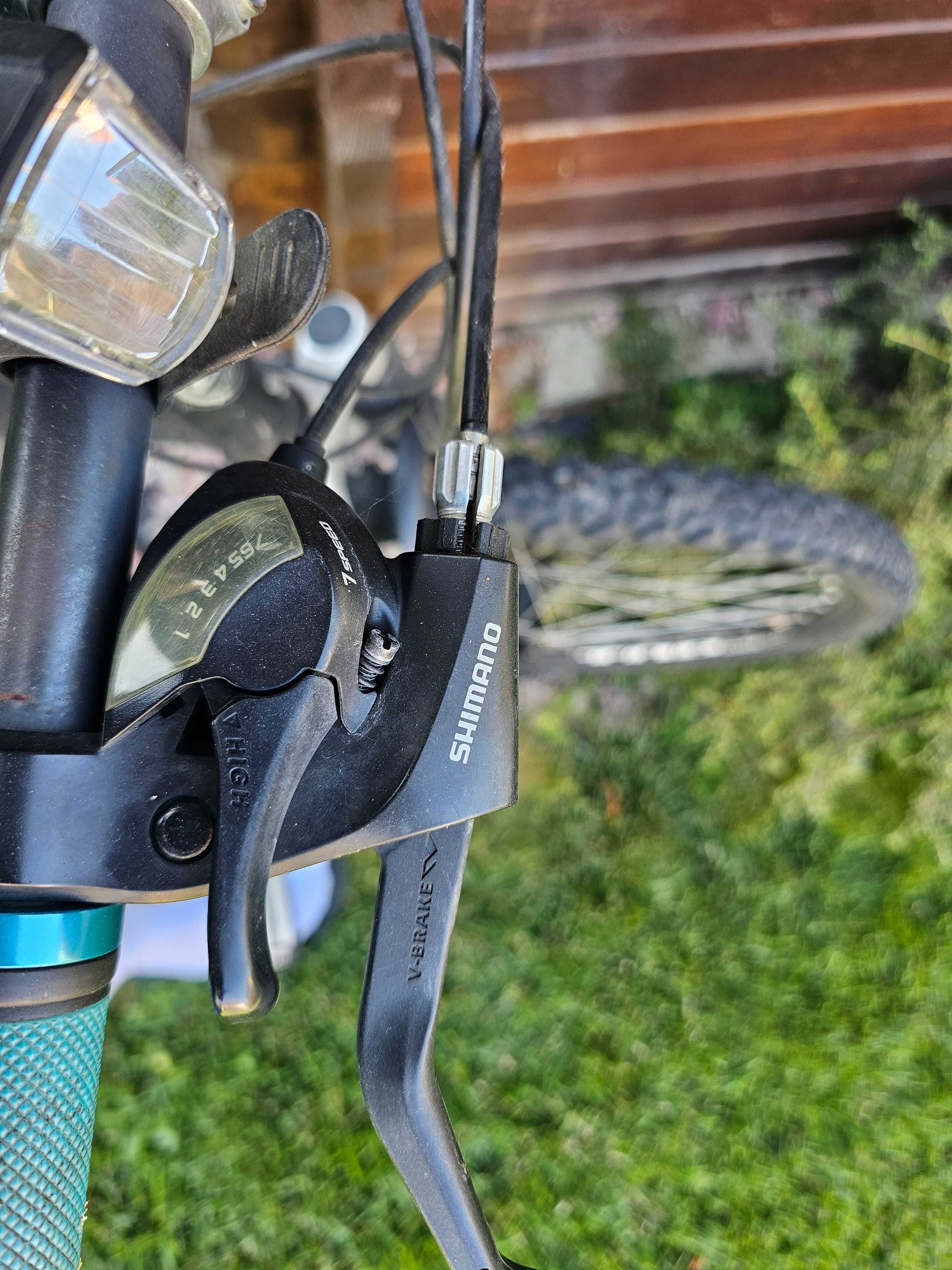 Bicicleta Bulls MTB