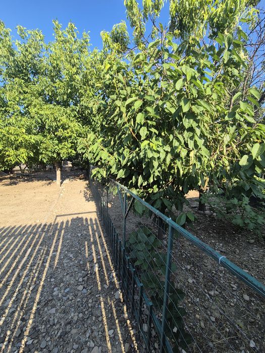 Vand teren intravilan focsani, utilitati