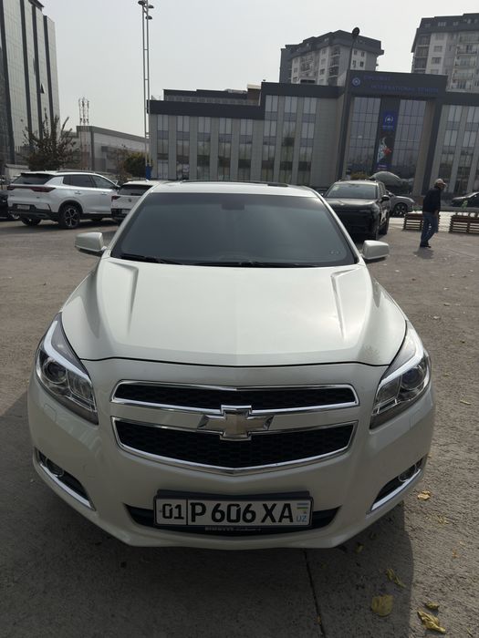 Malibu1 jemchug 2012