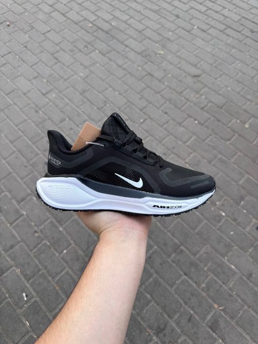 Nike pegasus gortex
