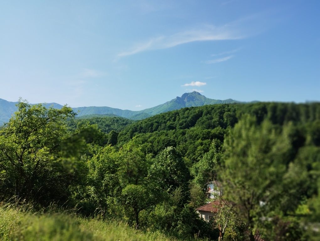 Продава се Парцел в Априлци - 9145 кв.м за 9 €/кв.м - Снимка #7