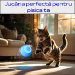 Minge interactivă pentru pisici