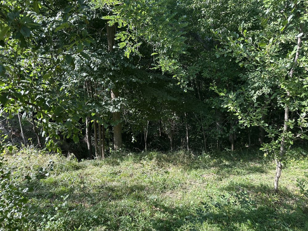 Teren 1145 mp, Breaza, PH, intravilan, toate utilitatile