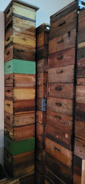 Vand stupi tratati cu parafina, rame, diferite dimensiuni