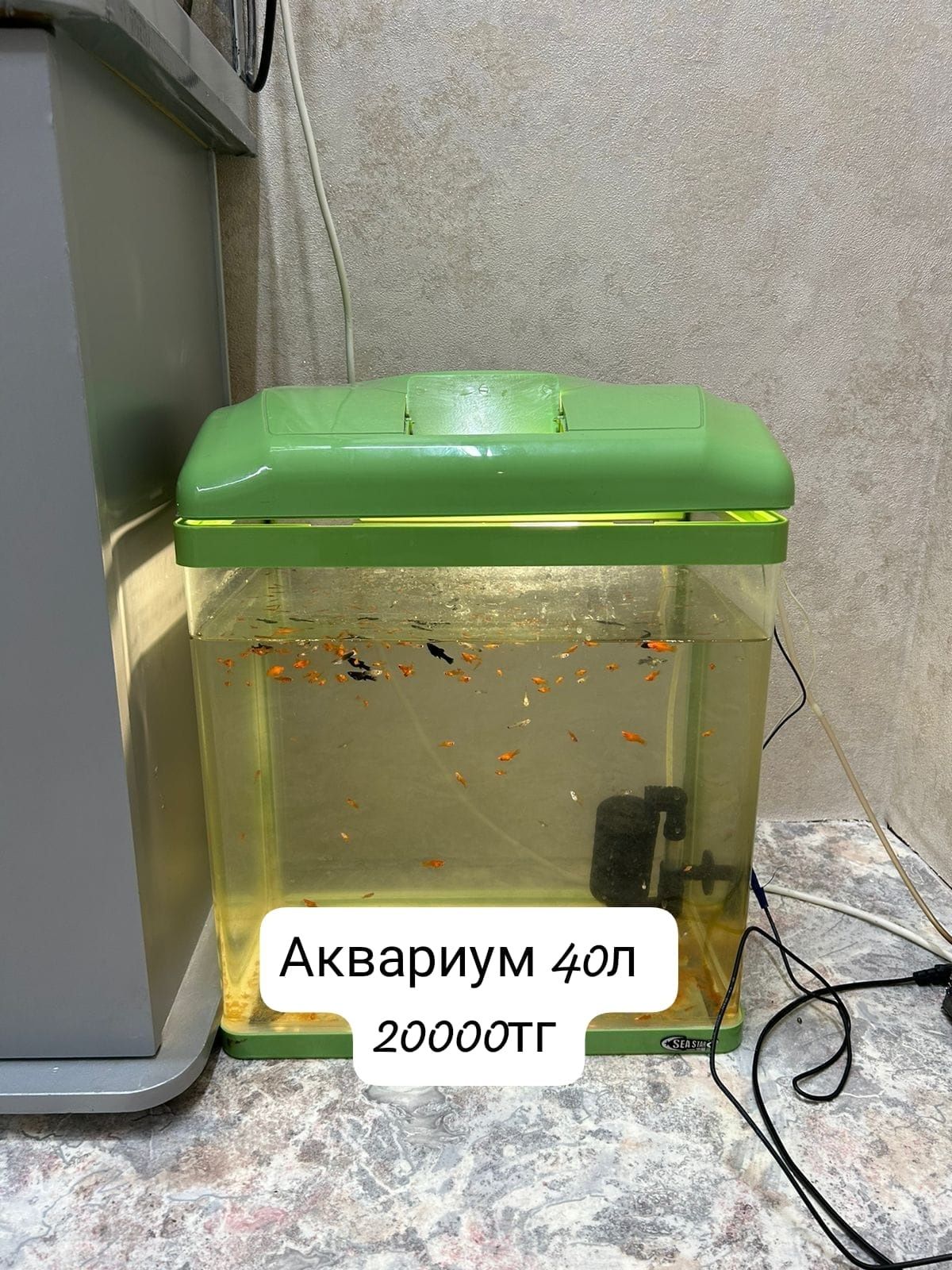 Аквариум 200,50л,40л