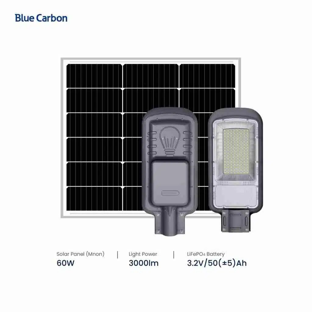 Blue carbon bilan yolingizni yorug' qiling