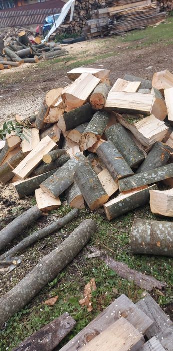 Vând lemne de foc fag și stejar ,uscate și verzi !!