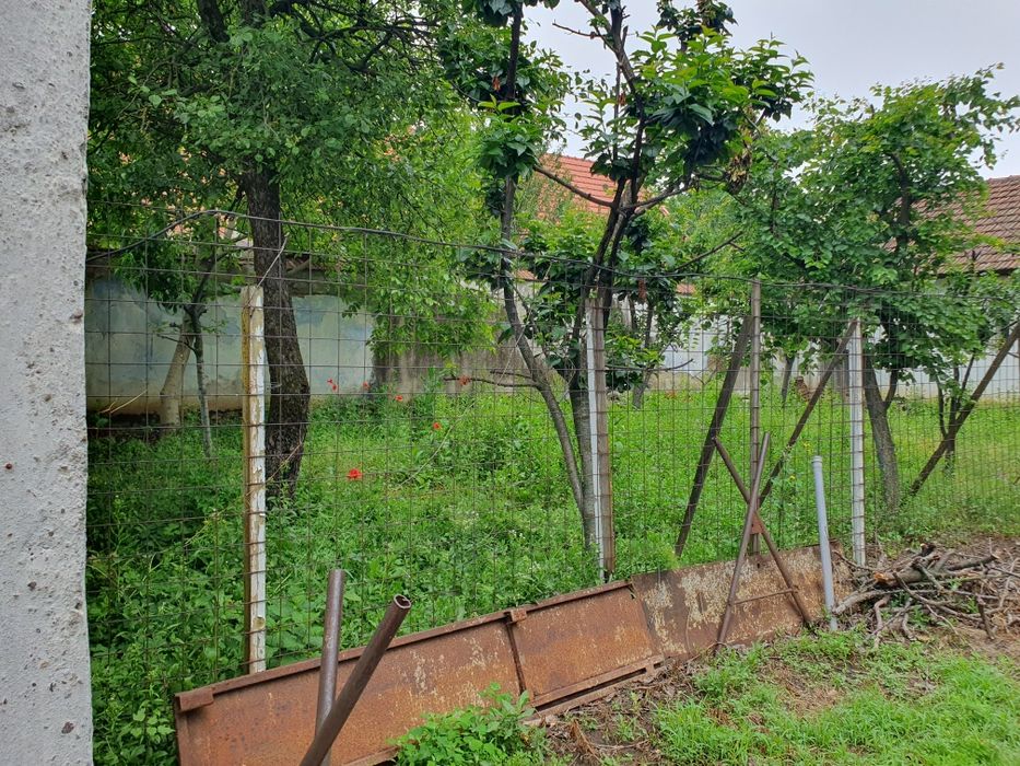 Vând loc casa in Moldova Veche suprafața 680mp