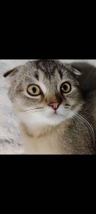 Цены разные , спрашивайте