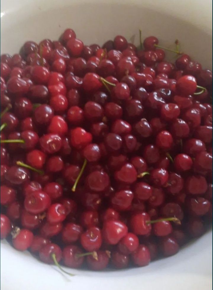 Сочная Доманяя вишня