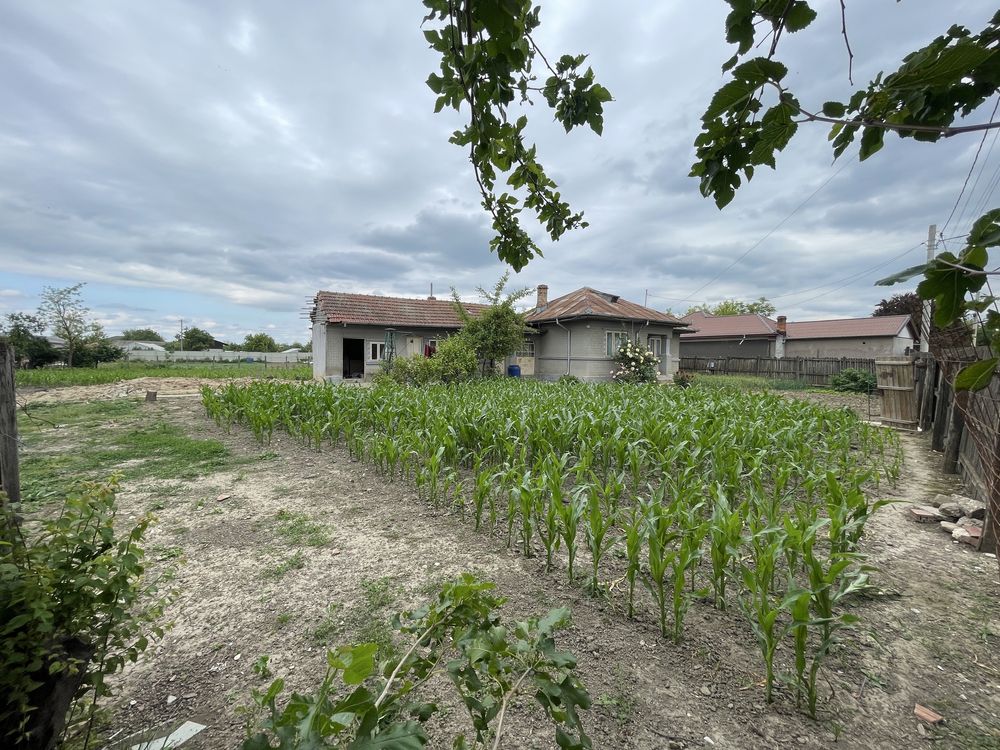 Vanzare casa cu teren Cosereni Ialomita