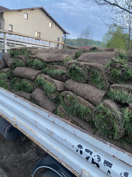 Pamant negru vegetal pentru amenajați spații verzi cu gazon rulou