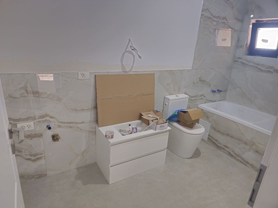 Vand casa individuala / Mosnita Noua / Proprietar