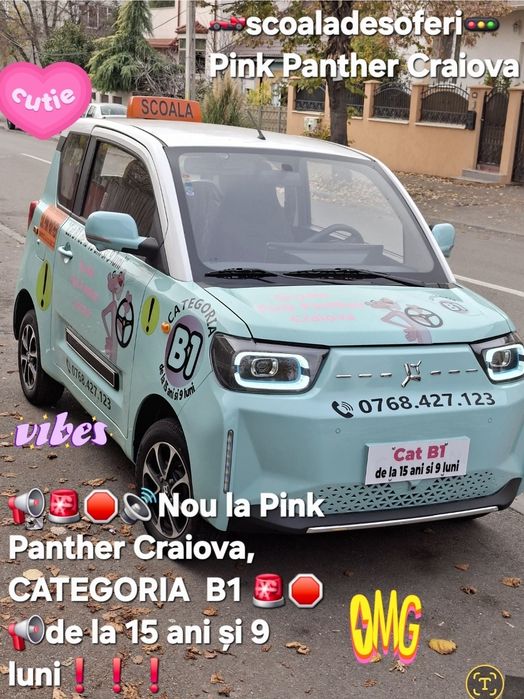 ScoaladesoferiPinkCraiova toate categoriile&atestate&B1 la 16 ani